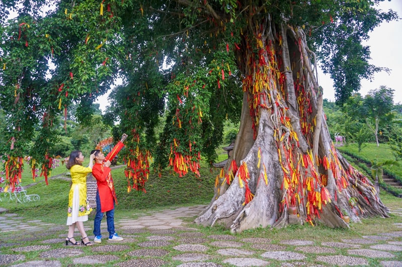 Công viên yangbay